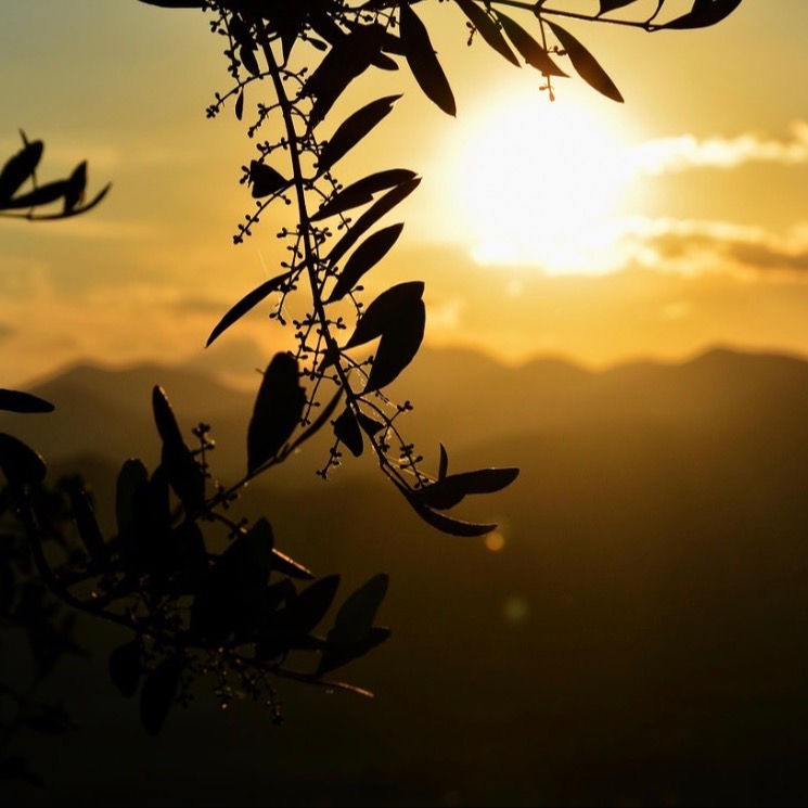 Photo de Monsieur Roger, Jean-Pierre DIRTADIAN