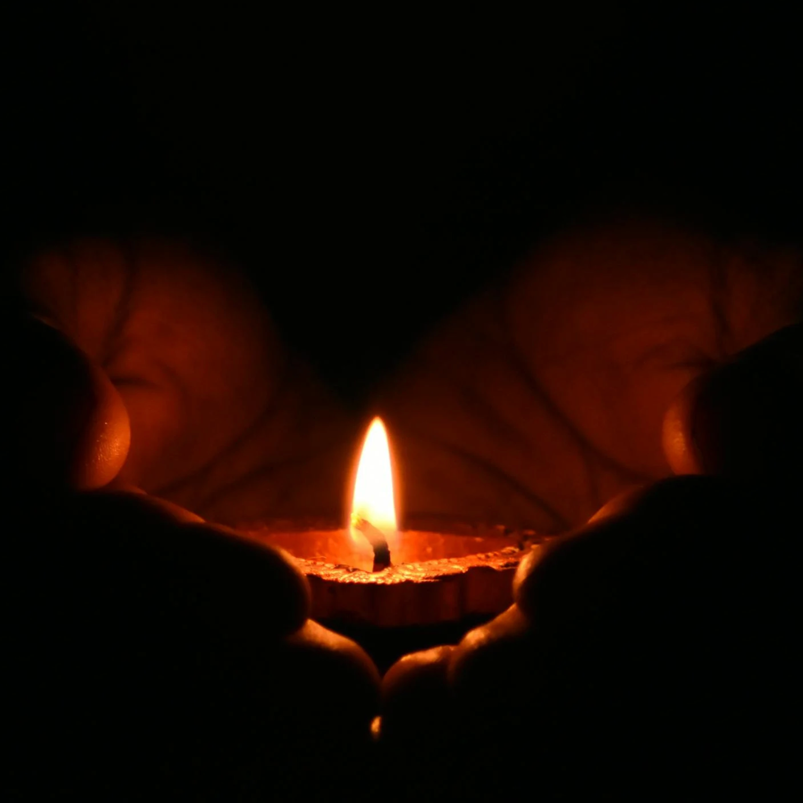 Photo de Madame Marie-Rose BRUN