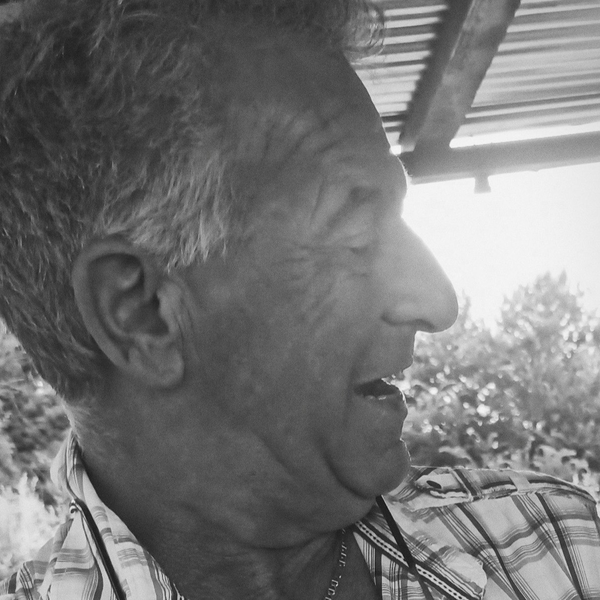 Photo de Stéphane GUCCIARDO